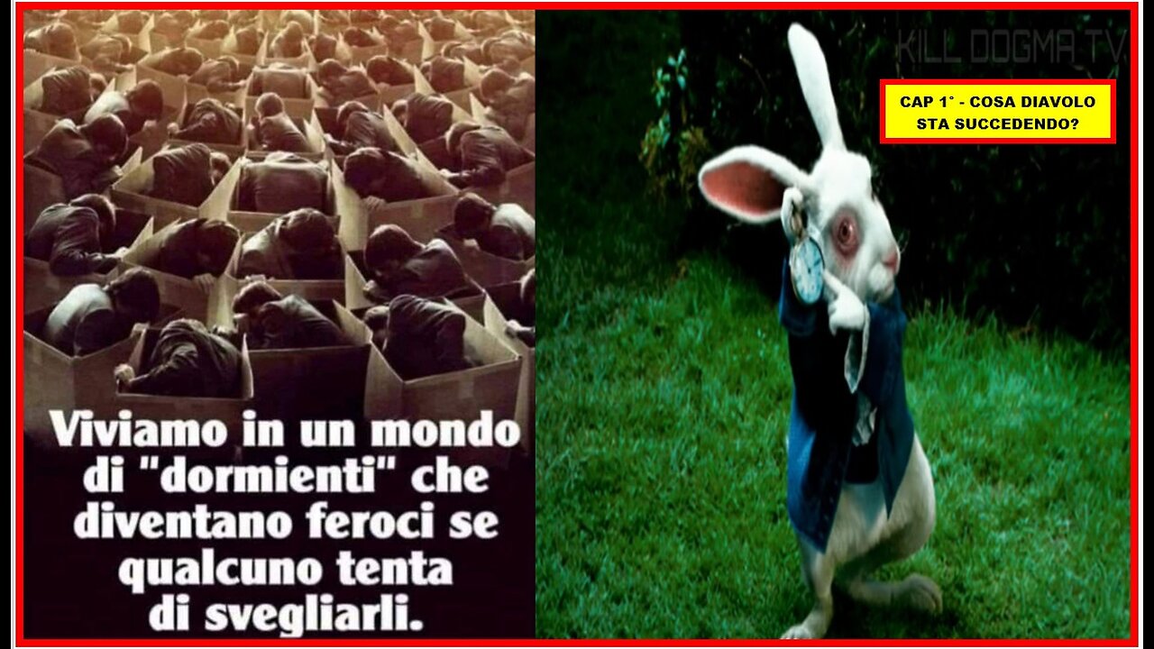BEST SELLER 2013: RICORDA CHI SEI,DOVE VIVI,DA DOVE PROVIENI - CAP 1°