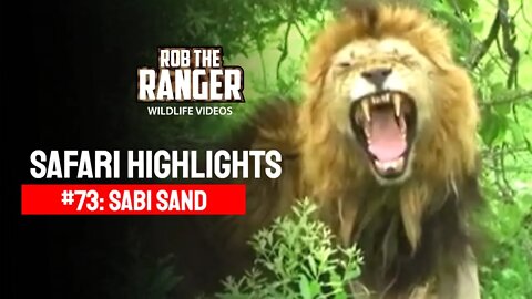 Safari Highlights #73: 14, 15, 19, 22-24 Nov 2010 | Sabi Sand NR | Latest Wildlife Sightings