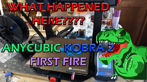 What Happened Here??? AnyCubic Kobra 2 Pro First Fire