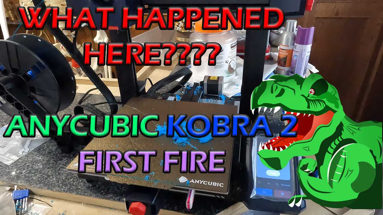 What Happened Here??? AnyCubic Kobra 2 Pro First Fire