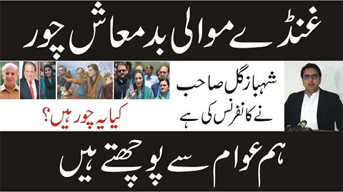 Shahbaz Gill speech about PMLN || Yeh Sub Chor Hain || PMLN Party Chor Hai || ہم عوام سے پوچھتے ہیں