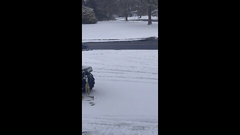 New Jersey 2024 - Jan 2nd Snow - Full Track
