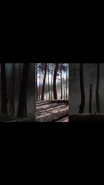 Breaking News (War-Related). **Warning** **Graphic Content** Viewer Discretion Advised 18+ #shorts