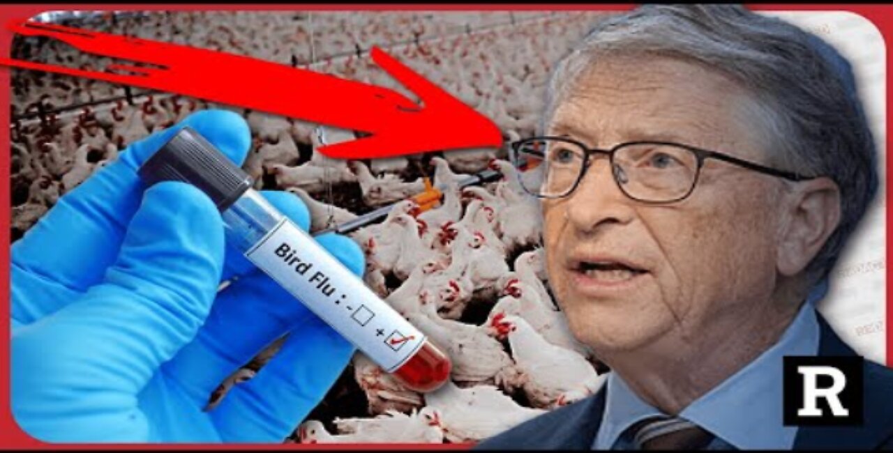 Hang on! Bill Gates is now doing WHAT with Bird Flu??? | Redacted w Natali and Clayton Morris