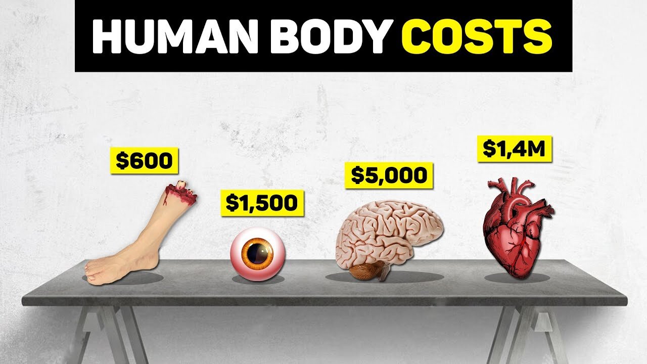 Price Comparison: Human Organs