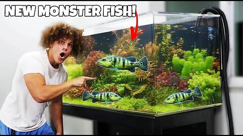 I Bought RARE MONSTER FISH For The NEW AQUARIUM!