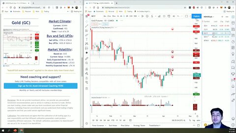 AutoUFOs 3-D Market Commentary (Bojan Petreski) 2021 Apr-13
