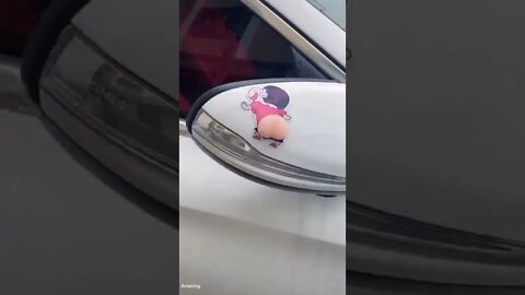 Amezing video
