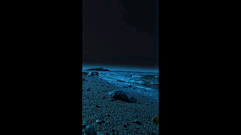 https://www.tiktok.com/t/ZP8L621QH/