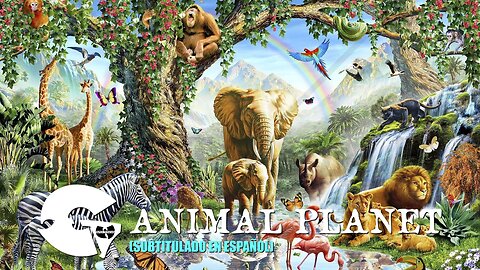 GZA - Animal Planet | (Subtitulado en español) (Prod. por Tyquan Walker & Bink)