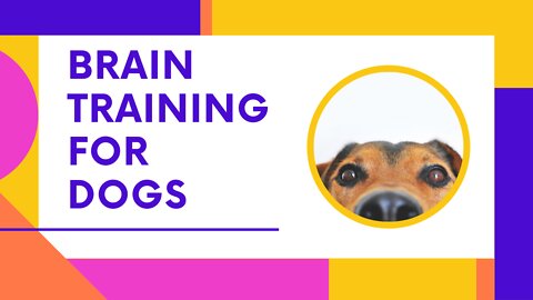 BRAIN TRAINING FOR DOGS