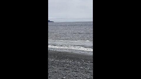 Whale sighting in St. Vincent’s, NL