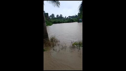 Flood Situation at Tripura Subroom