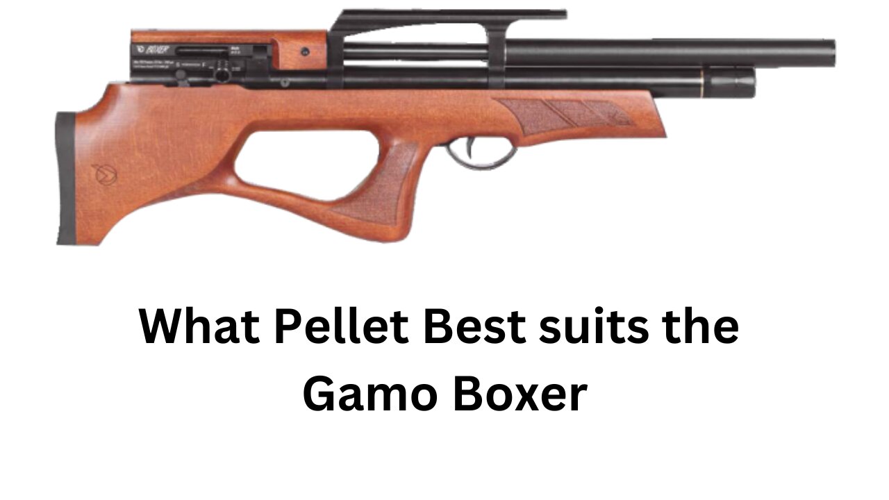 What Pellet best suits the Gamo Boxer