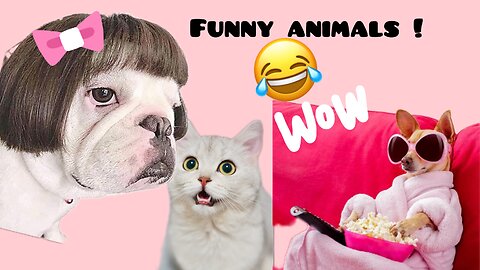 Funniest animals 2023, |BOOMMM