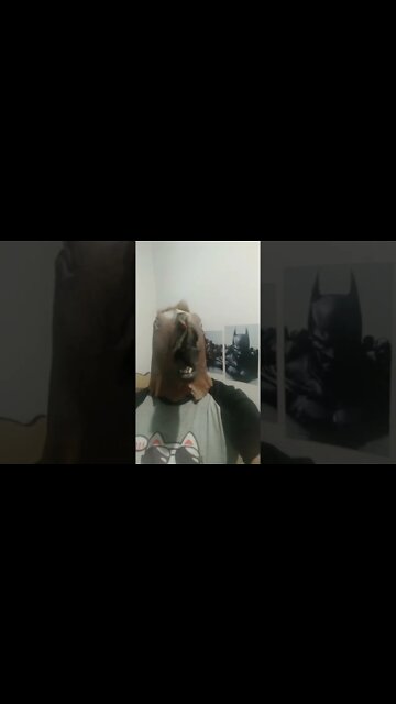 Cavalo de Jabaquara #shorts