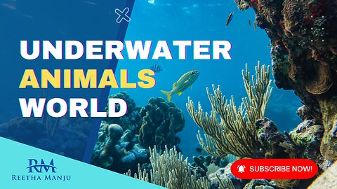 Underwater World Sea Animals and Coral Reef | Incredible Colorful Ocean Life