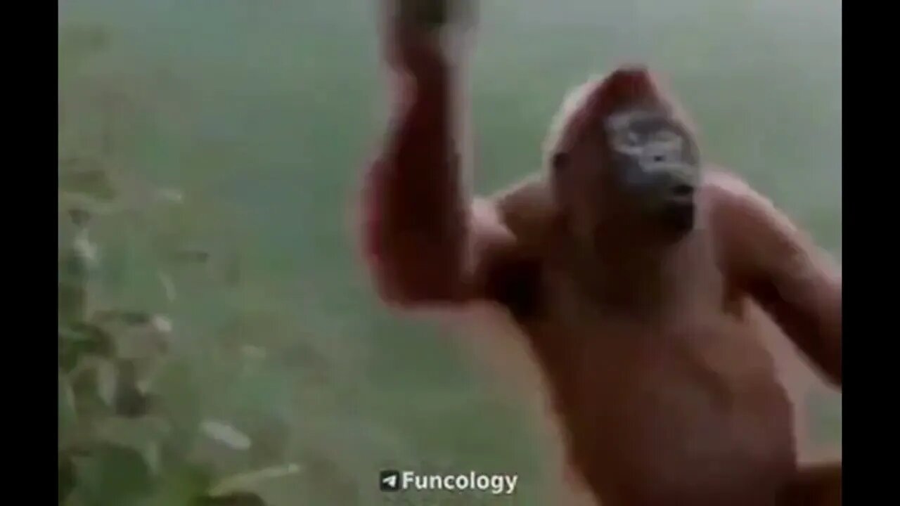 Power of Food