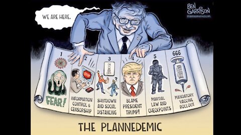 Plandemic