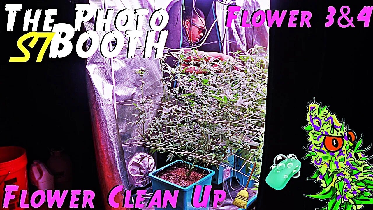 The Photo Booth S7 Ep. 8 | Flower Weeks 3 & 4 | Flower Clean Up | AirCube System Grow