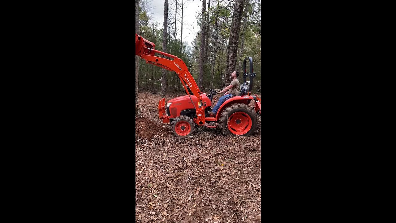 Clearing Pasture