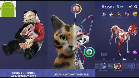 Idle Pet - Create cell by cell - for Android