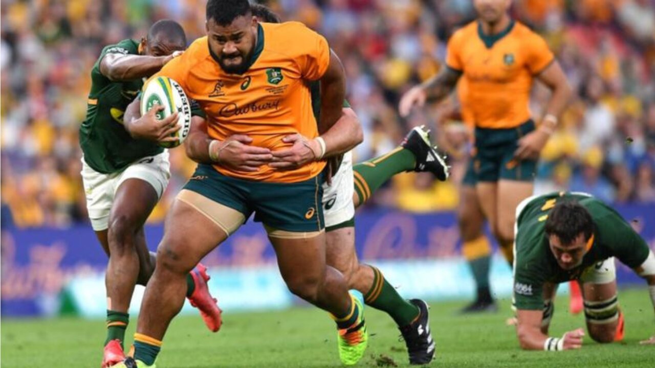 Springboks Destroy Wallabies