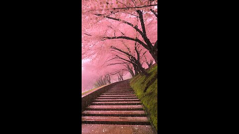 Beautiful Nature