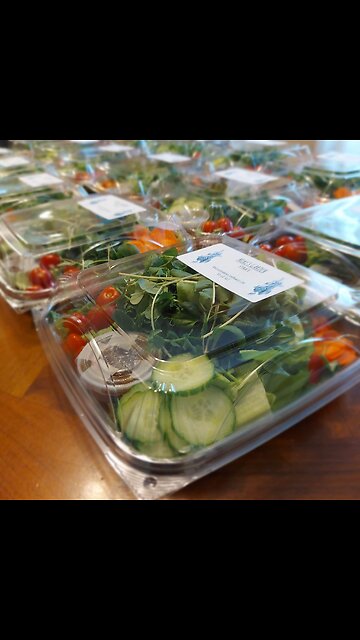 Spontaneous Salad Giveaway May 4, 2023