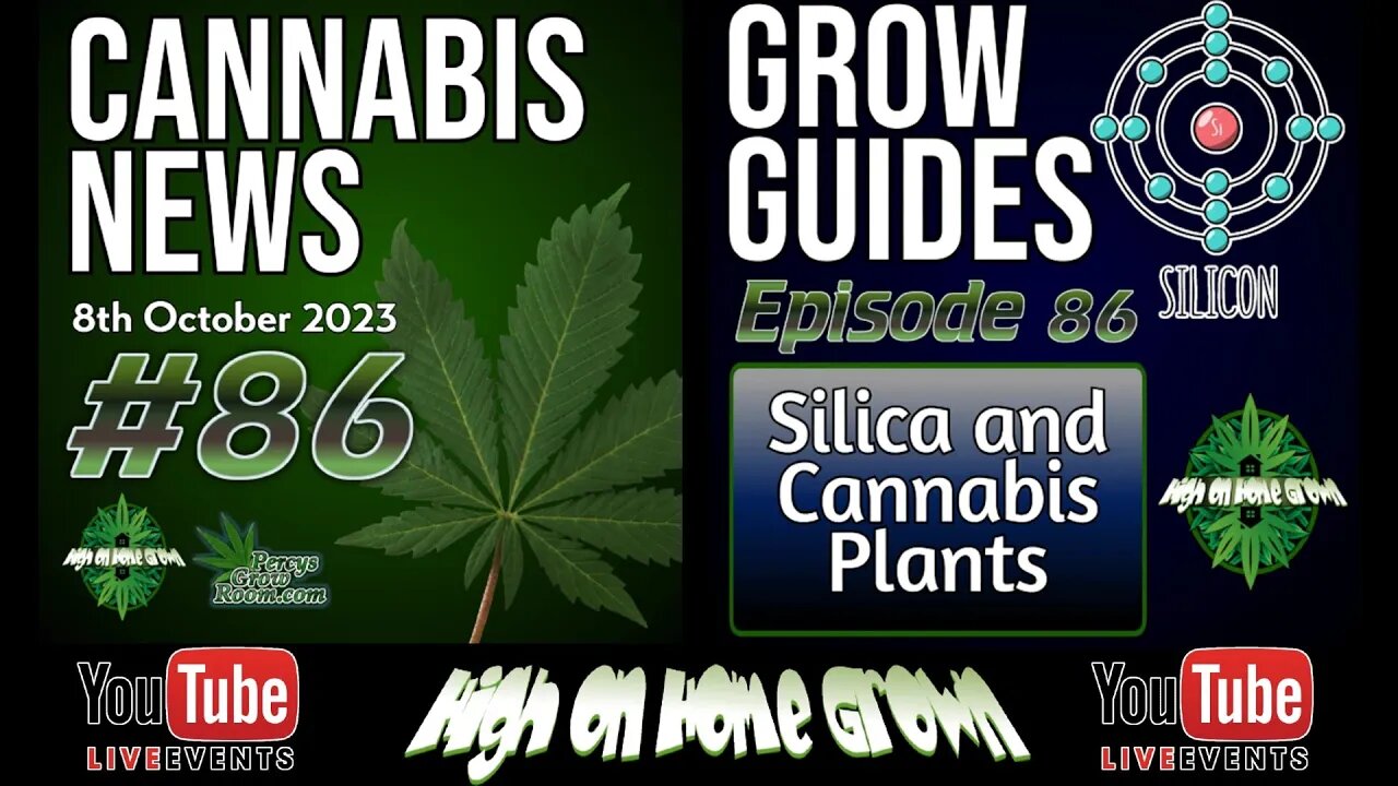 Cannabis Podcast Episode 157🌿 Cannabis News 🌍 Using Silica with Cannabis Plants🌱