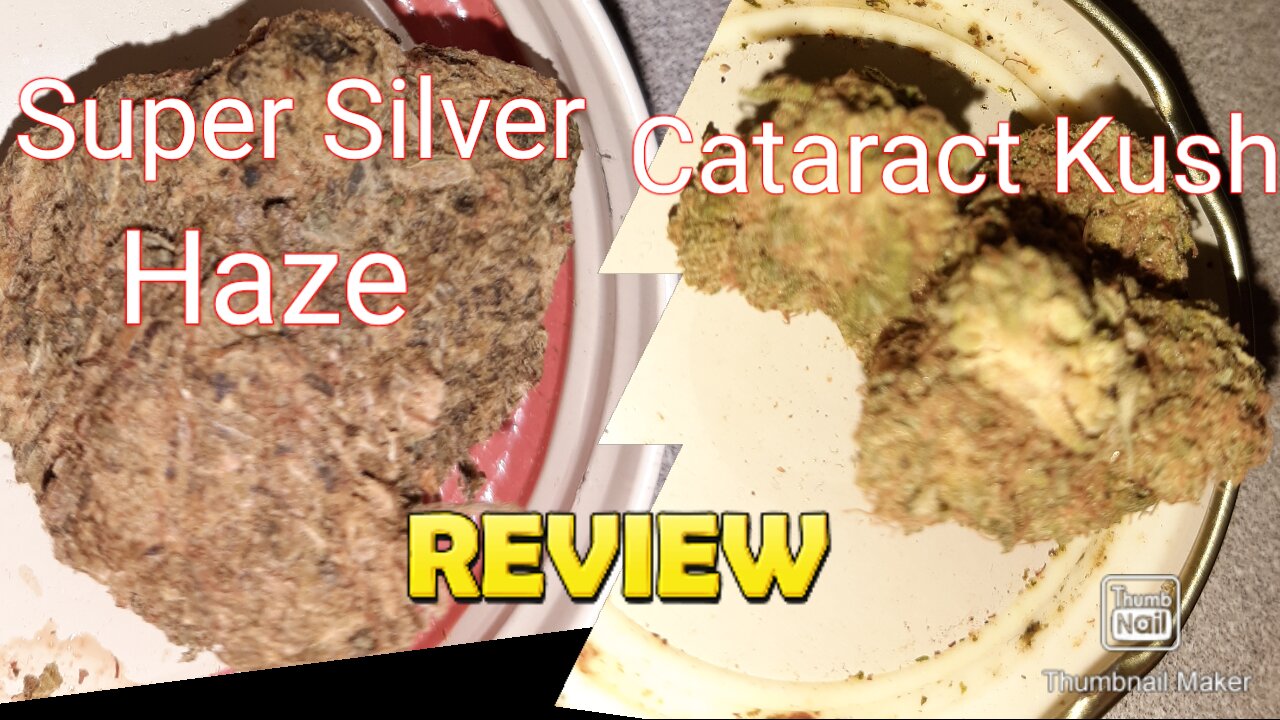S5 Episode 6 Super Silver Haze + Cataract Kush