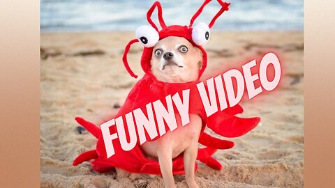 Bad Day Funny Video