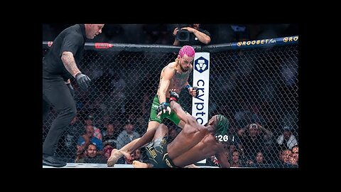 Sean O’Malley KOs Aljamain Sterling at UFC 292