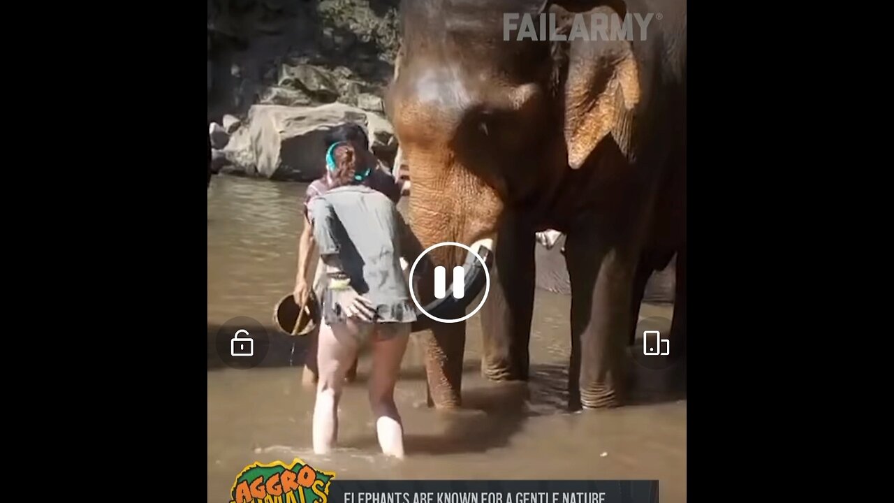 Girls bum hit the elephant