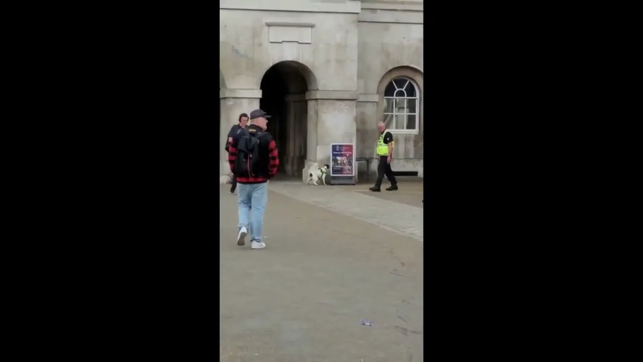 Sniffer dog #horseguardsparade