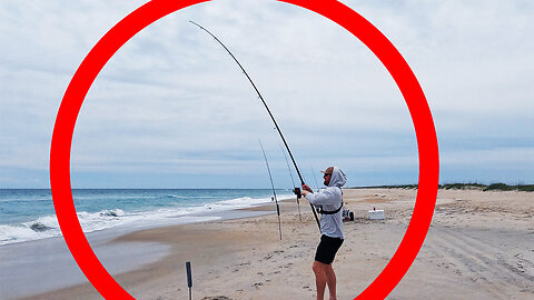 I Didnt Expect Catching THIS ENDANGERED Species! - Surf Fishing