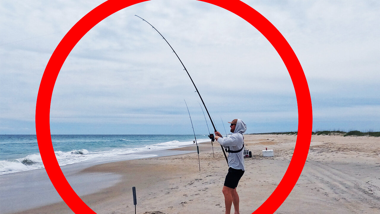 I Didnt Expect Catching THIS ENDANGERED Species! - Surf Fishing