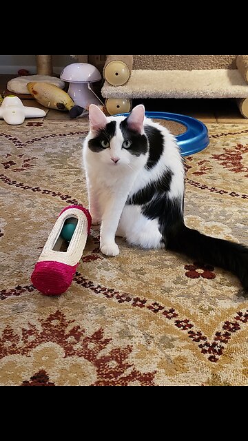 What's up Rebel 🤣