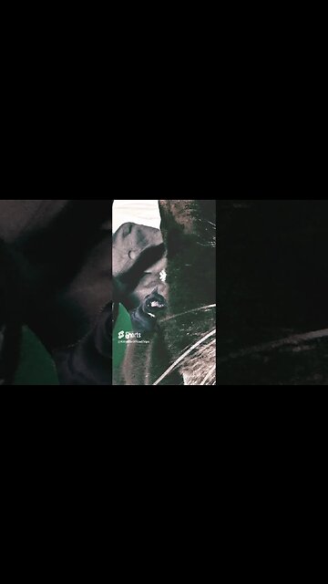 Kitty Life is partying in Vegas