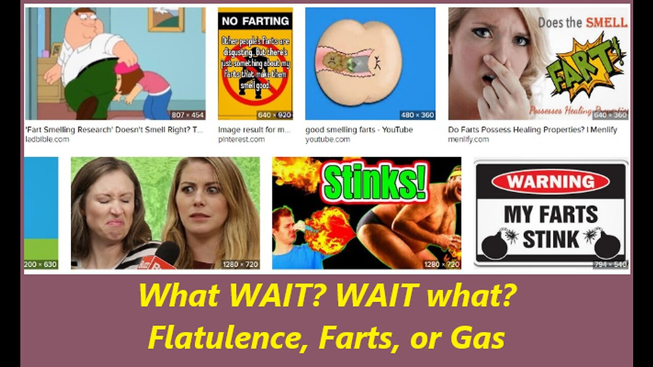 What WAIT? WAIT what? 14