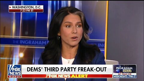 Tulsi Gabbard: Democrats Vilify Anyone That They Deem A Threat