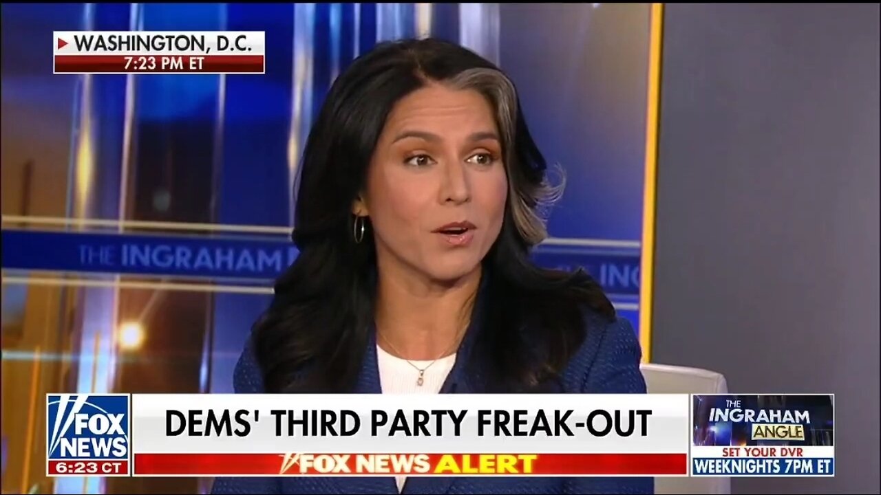 Tulsi Gabbard: Democrats Vilify Anyone That They Deem A Threat
