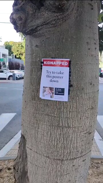 Bring them home! Kfir Bibas - 10 months old baby