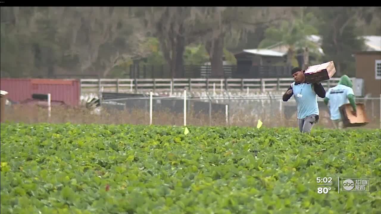 Inflation impacts local farmers as production costs rise