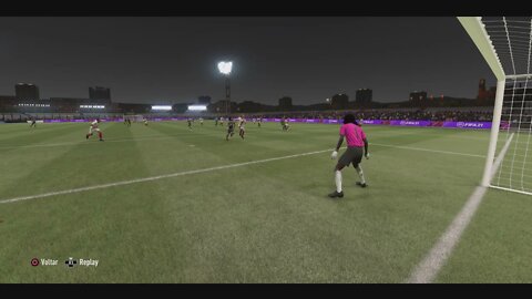 FIFA 21 flat earth ?