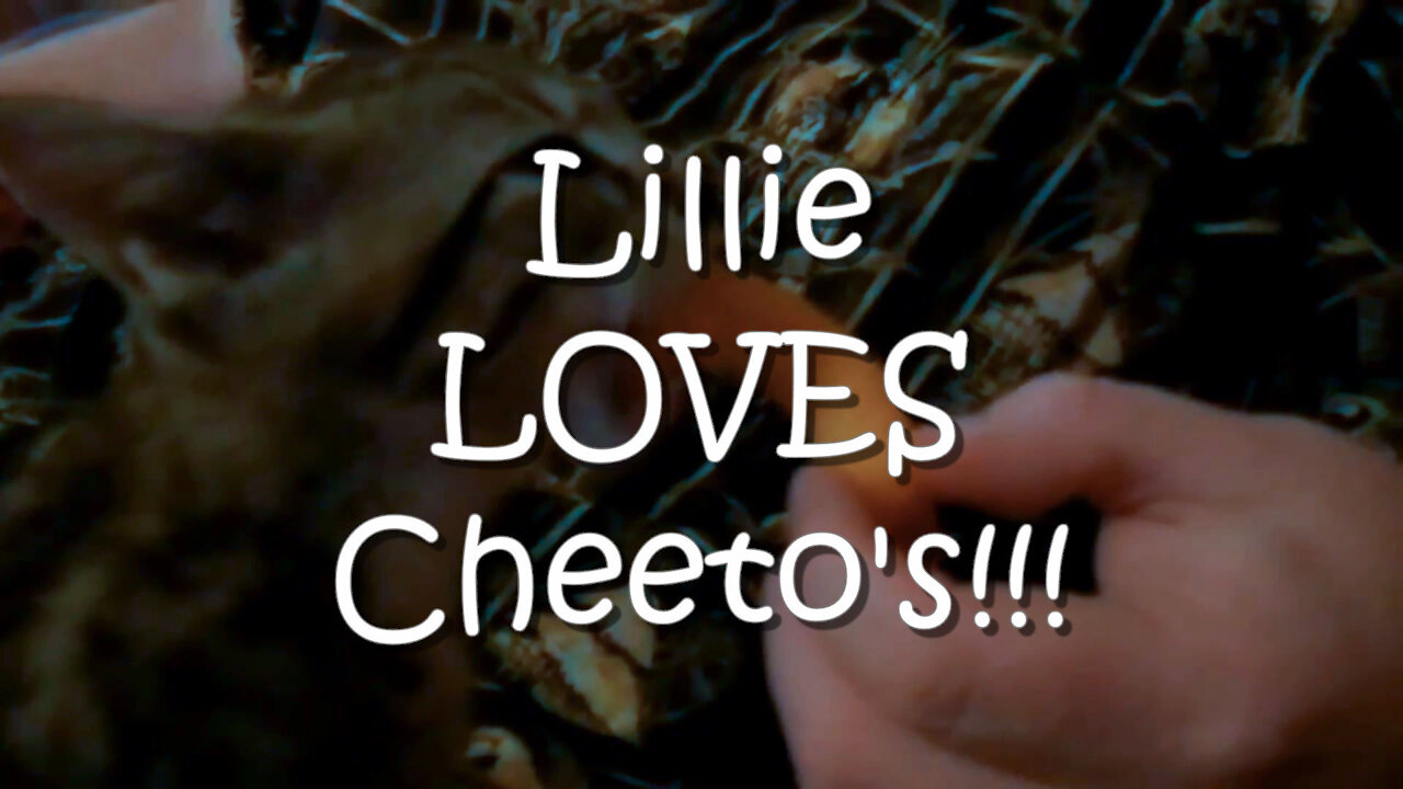 Lillie Loves Cheeto's!