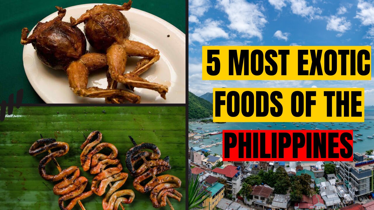 Top 5 Most Exotic Foods In The Philippines