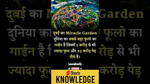 Motivational Quotes Intresting Facts lifestyle & research #shorts #ytshorts #knowledge #motivation