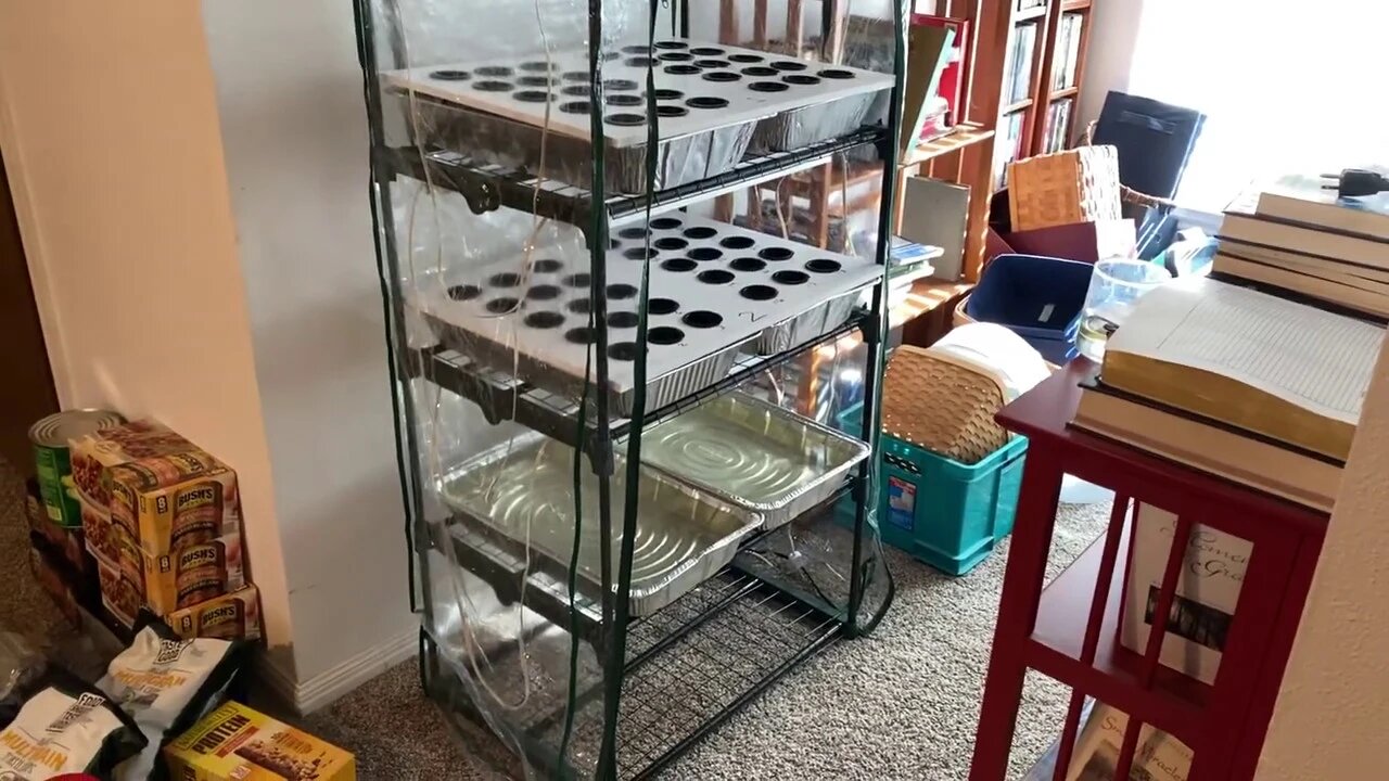 New Kratky Hydroponics Seed Starting System