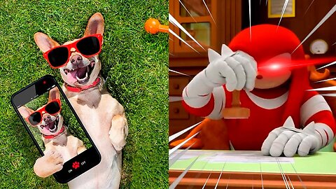 Knuckles Rates Animals | Knuckles' Rating System will SHOCK You! #knuckles